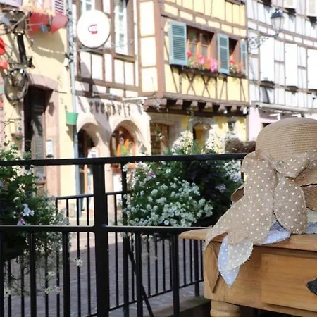 アパート Duplex Elegant Pour 4 Pers Avec Garage Au Centre De - Fr-1-722-13