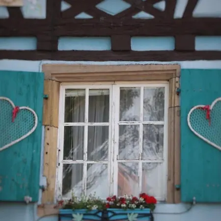 Duplex Elegant Pour 4 Pers Avec Garage Au Centre De - Fr-1-722-13 アパート *