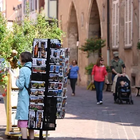 アパート Duplex Elegant Pour 4 Pers Avec Garage Au Centre De - Fr-1-722-13 *