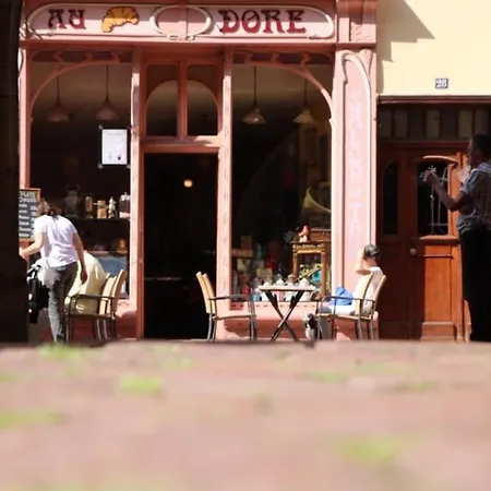 アパート Duplex Elegant Pour 4 Pers Avec Garage Au Centre De - Fr-1-722-13