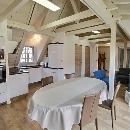 Duplex Elegant Pour 4 Pers Avec Garage Au Centre De - Fr-1-722-13 アパート コルマール