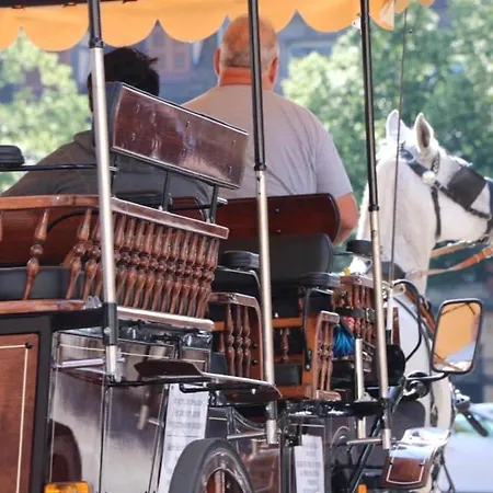 Duplex Elegant Pour 4 Pers Avec Garage Au Centre De - Fr-1-722-13 コルマール