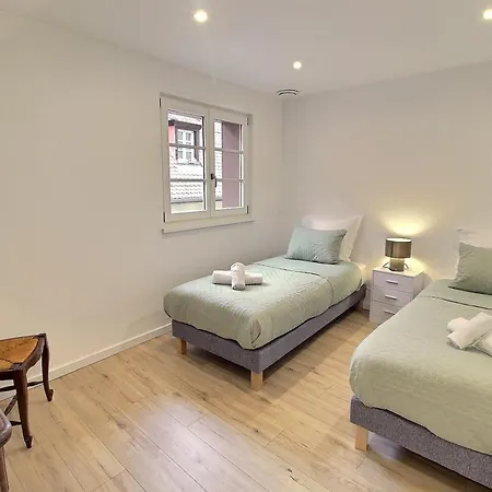 Duplex Elegant Pour 4 Pers Avec Garage Au Centre De - Fr-1-722-13 شقة