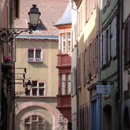 アパート Duplex Elegant Pour 4 Pers Avec Garage Au Centre De - Fr-1-722-13 *