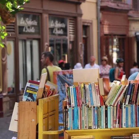 Duplex Elegant Pour 4 Pers Avec Garage Au Centre De - Fr-1-722-13 アパート コルマール