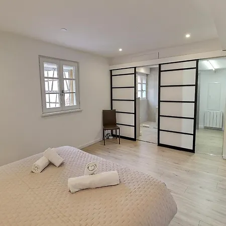 アパート Duplex Elegant Pour 4 Pers Avec Garage Au Centre De - Fr-1-722-13