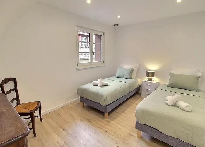 Duplex élégant Pour 4 Pers Avec Garage Au Centre De - Fr-1-722-13 Appartement