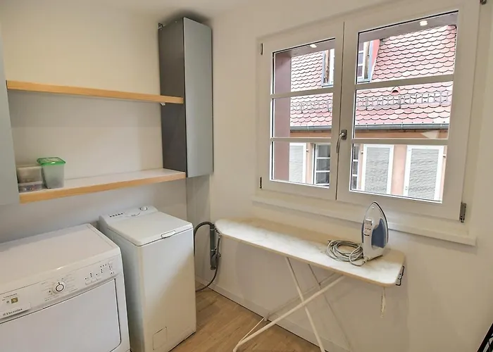 Appartement Duplex élégant Pour 4 Pers Avec Garage Au Centre De - Fr-1-722-13 Colmar