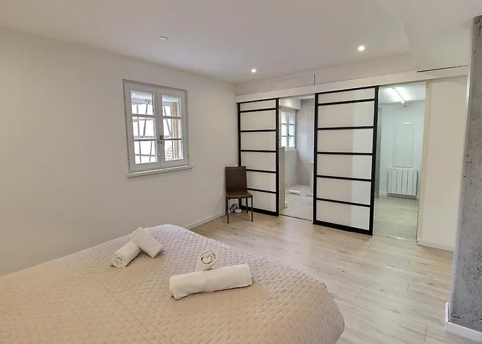 Appartement Duplex élégant Pour 4 Pers Avec Garage Au Centre De - Fr-1-722-13
