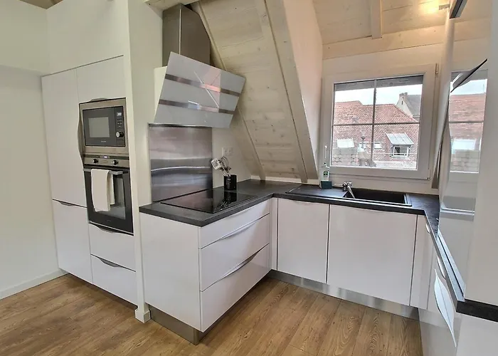 Duplex élégant Pour 4 Pers Avec Garage Au Centre De - Fr-1-722-13 Appartement Colmar