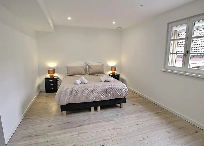 Duplex élégant Pour 4 Pers Avec Garage Au Centre De - Fr-1-722-13